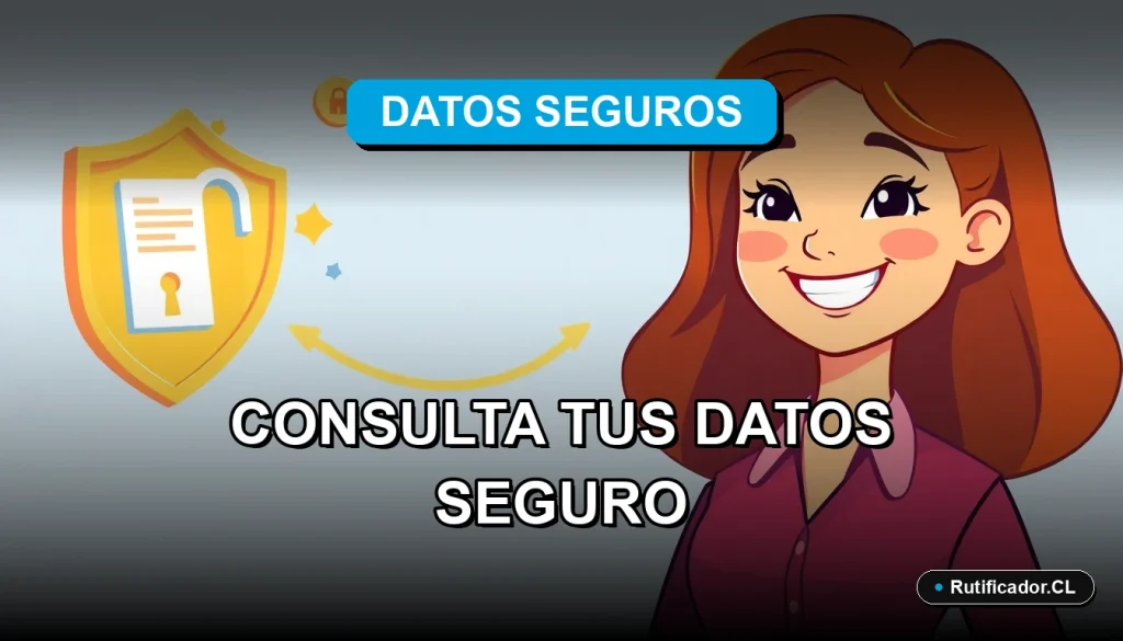 Persona consultando sus datos personales de forma digital y segura en Chile, ilustración plana colorida.