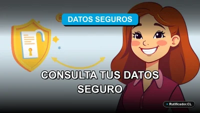 Persona consultando sus datos personales de forma digital y segura en Chile, ilustración plana colorida.